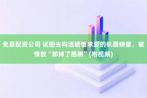 免息配资公司 试图去向活螃蟹求爱的机器螃蟹，被情敌“卸掉了胳膊”(附视频)
